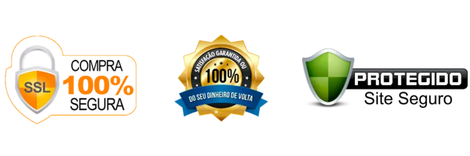 Selo Site Seguro 100%